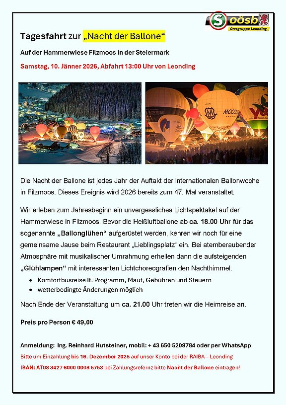 20260110_Nacht_der_Ballone-Flyer.jpg